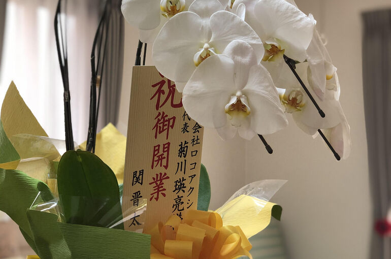 開業お祝いの胡蝶蘭、晋から